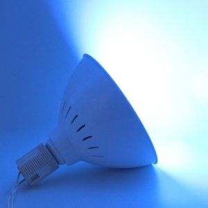 Remote Control 12V E27 Pentair Hayward Light Fixture