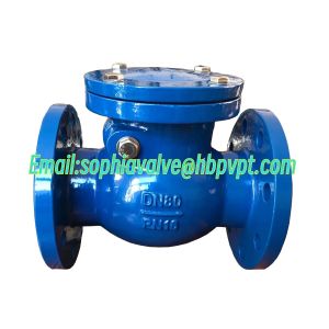 DIN PN16 metal seal flanged swing check valve