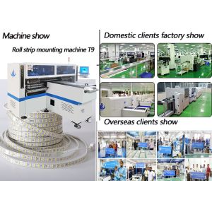 Flexible strip mounting pick and place machine