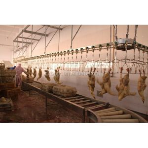 Durable Chicken Slaughtering Line Automatic Slaughtering Machine TUV Approved