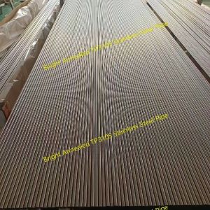 ASTM A269 TP310S Stainless Steel Seamless Pipe Bright Annealed 6 - 50.8mm in 6m