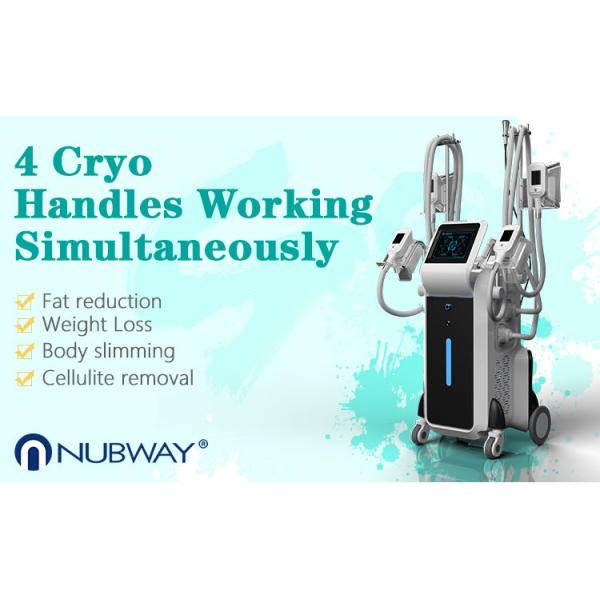 4 handles Cryolipolysis Machine For