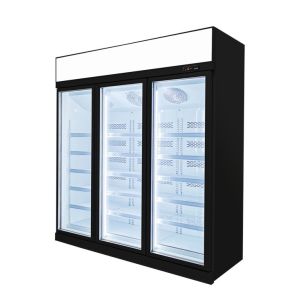 Upright Glass Door Freezer Frozen Display For Ice Cream Frozen Meat