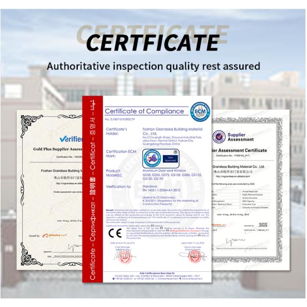 Modern Screen Custom Arches Top Exterior Front Double Entry Iron Glass Door Villa Front Entry Iron Pivot Door