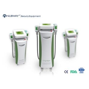 Top 1 vertical cryo cryolipolysis fat freezing machine