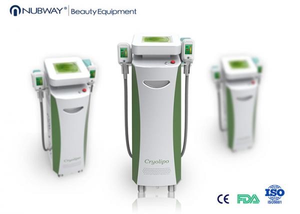 Buy Top 1 vertical cryo cryolipolysis fat freezing machine at wholesale prices