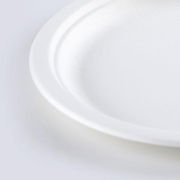Round Disposable Plates Natural Sugarcane Bagasse Compostable Eco Friendly Environmental paper plate