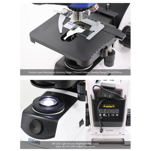 OPTO-EDU A12.3630 1000x Trinocular Biological Microscope