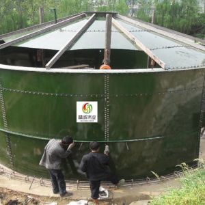 Expanded Granular Sludge Bed EGSB Wastewater Treatment Commercial Biogas Plant