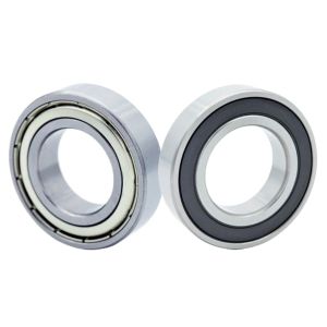 Customized Clearances 6205 2RS Single Row Ball Bearing