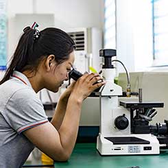 Machining Service Included Custom Steel Precision Forging Parts for Carbon/Alloy Steel