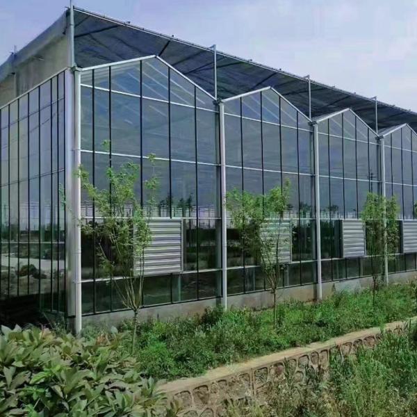 Strong Structure High Wind Load Greenhouse with Glass Covered