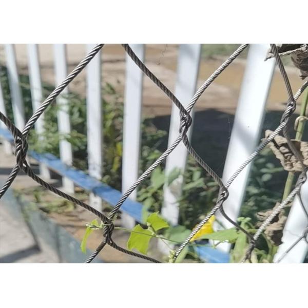 316L Wire Rope Trellis Tomato Growing Plant Stainless Steel Cable Netting