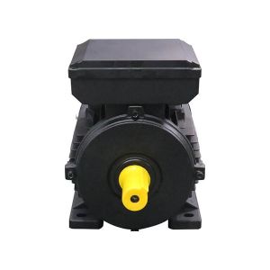 0.37KW IP54 3hp AC Asynchronous Motor Centrifugal Switch
