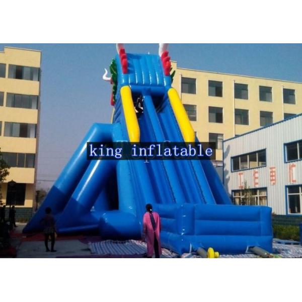 Giant Dragon Inflatable Water Slide Beach Slide With Pool For Kids And Adults