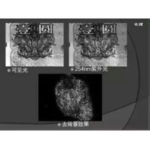 Untreated fingerprints Forensic Equipment , Full - Wave CCD Forensic Evidence