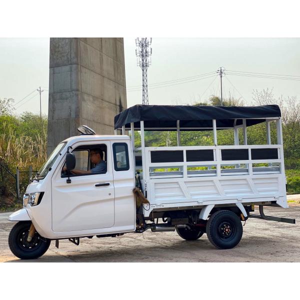 800W Semi-Cabin Motorized Cargo Tricycle with Enclosed Cabin and Plastic Cargo Cover