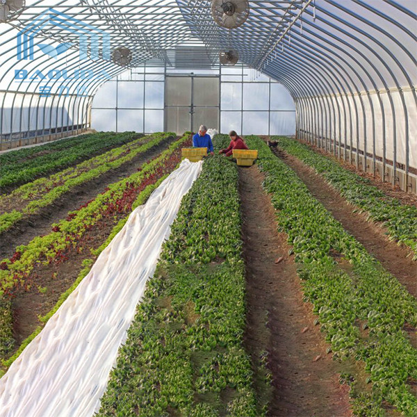 Buy Polytunnel Zinc Steel Frame Greenhouse PE Membranes Covering at wholesale prices