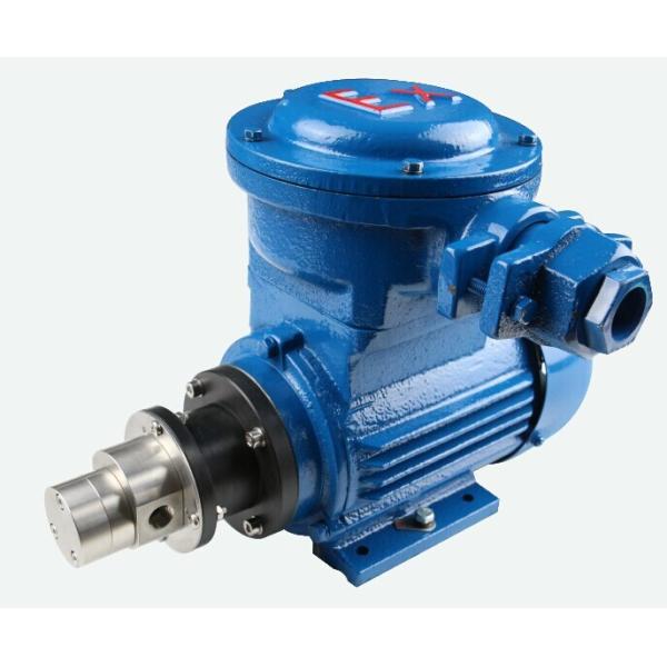 FLOWDRIFT AC Asynchronous Motor-powered Magnetic Drive Hi-Pressure Stainless