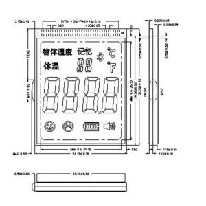 30 Pin Negative Transmissive HTN LCD Display
