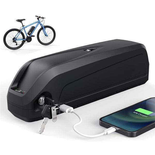 Intelligent BMS 48v 30ah Lithium Ion Battery Lifepo4 Electric Bike Battery