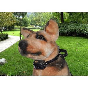 Light Weight Remote Pet Training Collar Waterproof With No Bark