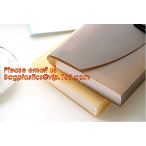 new popular a4/letter size plastic pp poly Expandable Desk top file folder