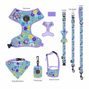 Nylon Dog Leash Collar Set Fashion Fancy Luxury Polyester Breathable