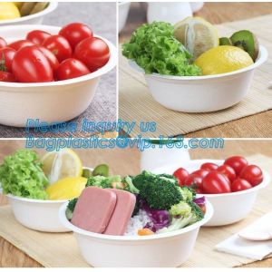 disposable eco friendly sugarcane 500ml bowl,Biodegradable Disposable Sugarcane