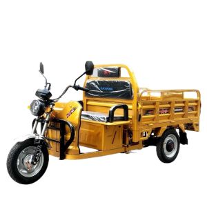 China Customized Color Adults 3 Wheel Electric Tricycle with 72V Motor Power and 3.75-12 Tire on sale