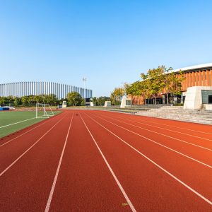 15mm Thickness Sandwich System Running Track Harmless Odorless