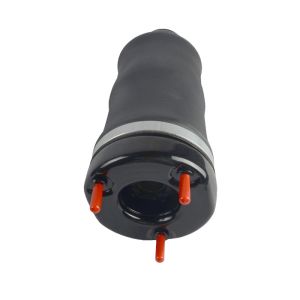 Front Left And Right Air Suspension Springs 1643206013 For Mercedes Benz W164