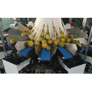 14 Head Multihead MCU/PLC Weigher Packing Machine For Weiging Fruits Oranges