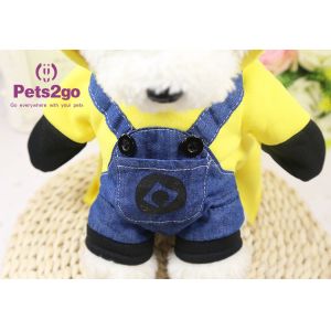 4kg M 38cm Chest Teddy Dog Apparel For Festival