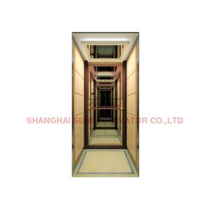 China 0.4m/S Stainless Steel Residential Home Elevators Small Passenger Lift on sale