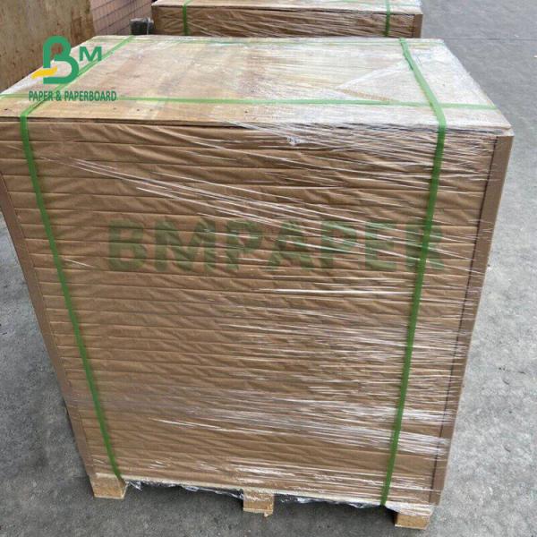 270gsm 350gsm Premium C2S Gloss Cover For Brochures 93% Whiteness 25'' x 38''