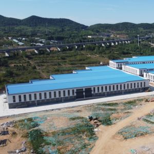 Prefabricated Steel Workshop Building with Daylighting