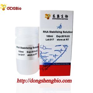 RNA Stabilization Solution