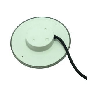 Expoxy Filled Cable 1.5m SMD2835 Resin Filled Pool Light