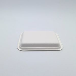 Greaseproof Compostable Square Plates , Supermarket Biodegradable Sugarcane