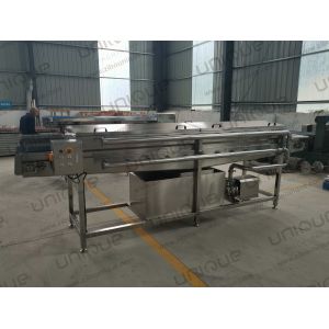 450 KG Green Onion Leek High Pressure Spraying Washing Cleaning Machine at