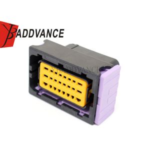 China 24 Way Female Sealed FCI Automotive Connectors With Terminals 211PC249S0005 on sale