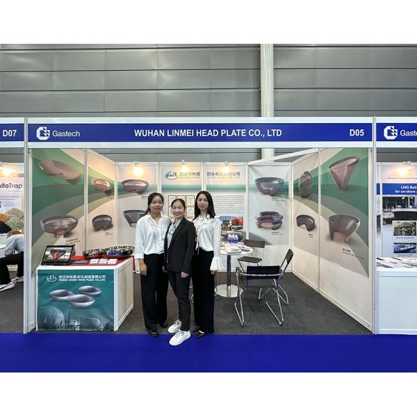 Diameter 4300mm Welded Large Metal Hemisphere for Pressure Vessel