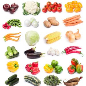 Electric Fruit Vegetable Processing Machine Kitchen OEM ODM 1.75L