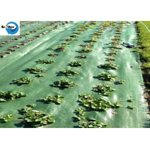 Quality Heavy Duty Landscape Weed Control Fabric with Precut 6&quot; Hole Spacing Perfect Gardening Weed Blocker Barrier Ground Cover for sale