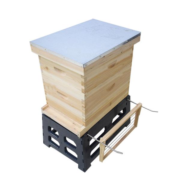 Buy Apiculture 8 frame 10 frame Bee Hive Holder at wholesale prices