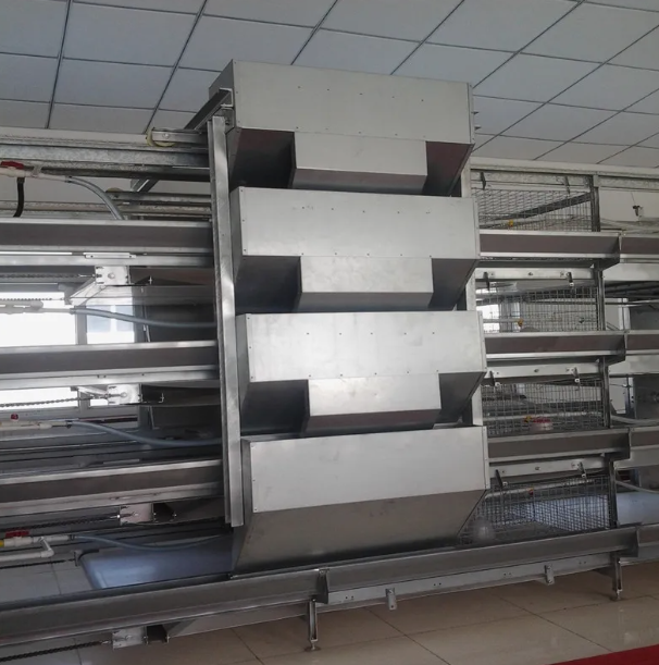 Fully Automatic 4-Tier H-Type Battery Cage with Hot-Dip Galvanized Steel for Layer Hens and Broilers