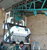 Buy Mini sorghum Color Sorter Machine Long Lifetime service best price at wholesale prices