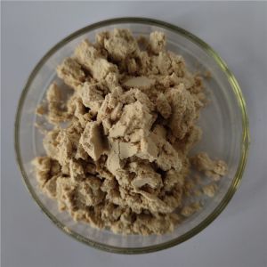 High Quality Gorgon Fruit Extract In Bulk Stock