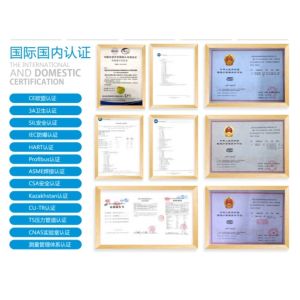 MFE-X1 High Precision Electromagnetic Process Control Flowmeter Electromagnetic